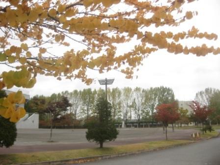 １０月も末に