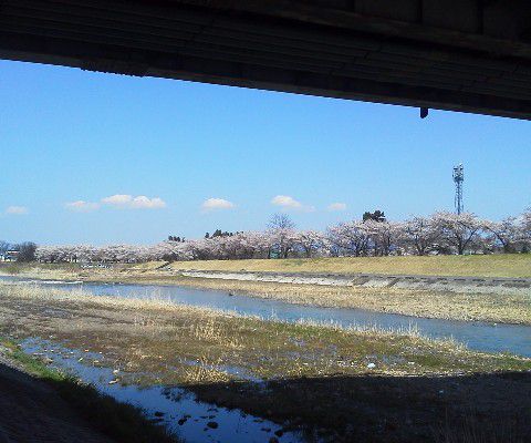 万里橋から