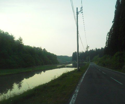 素敵な田圃