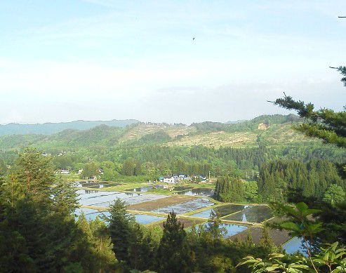 峠から