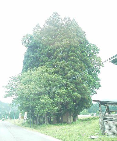 雨の合間に