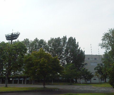 地区予選が始まる
