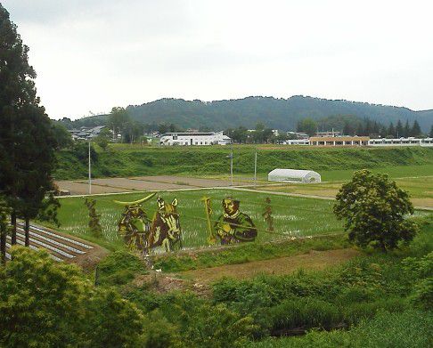 田んぼアート