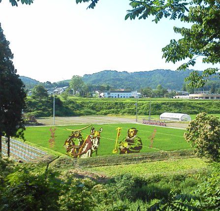 はっきりくっきり見えてきました