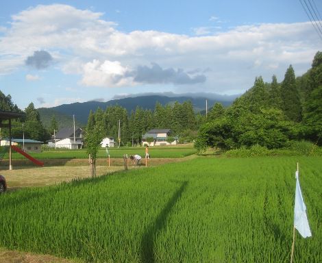 里山の風景