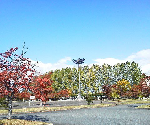 野球場も