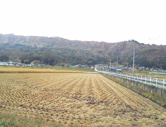 斜平山も紅葉