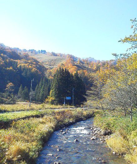 入田沢