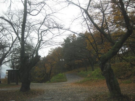 舘山公園も