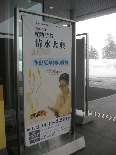 清水大典　展