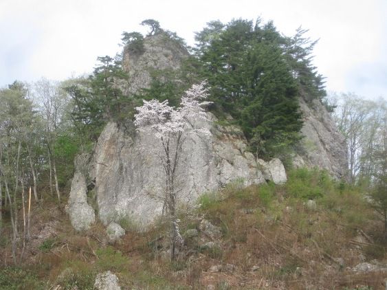 立岩　その２
