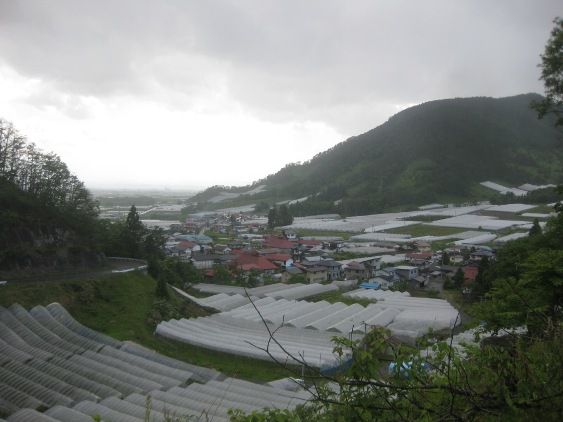 葡萄の産地