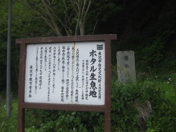 蛍