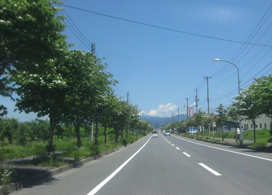 空梅雨でしょうか
