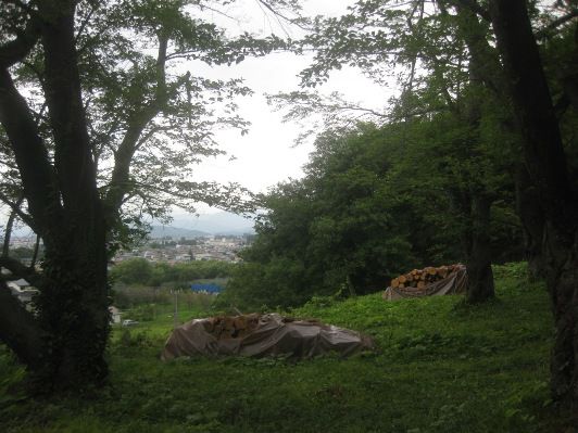 松枯れ