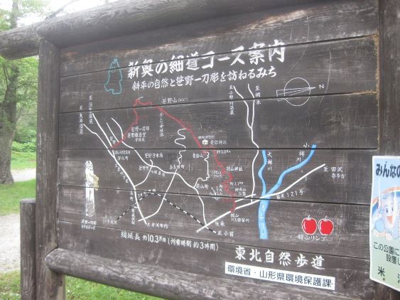 散策コース