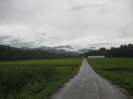 安定しない天気
