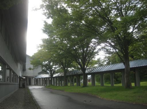 図書館