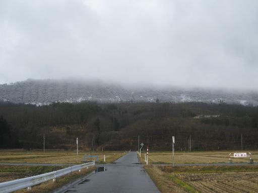 今年の降り方