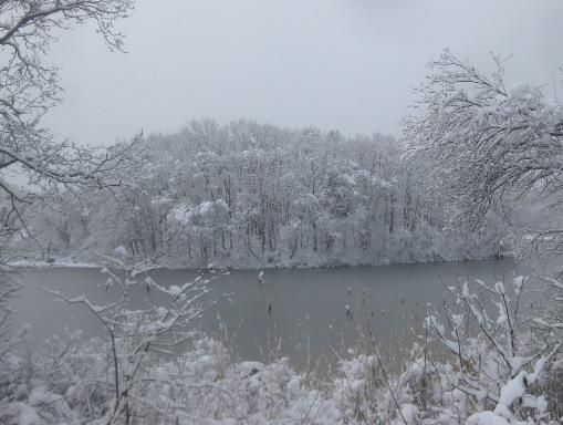 雪降りつむ