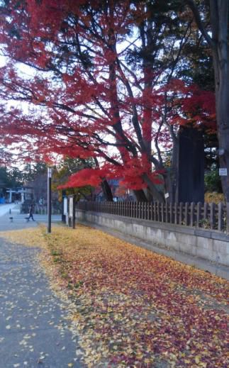 公園で