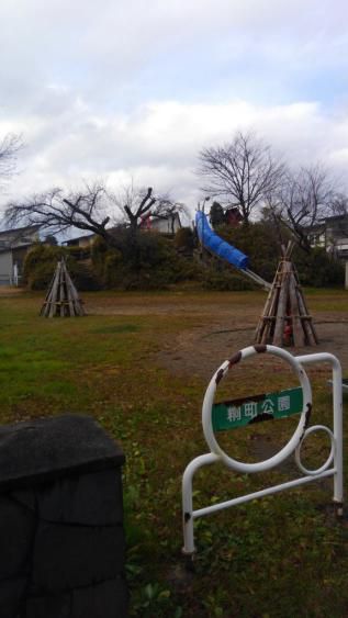 これも雪囲い?!