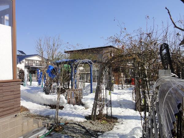 《バラ庭》ガーデン～冬の庭、雪は・・・
