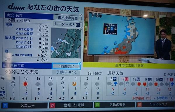 《バラ庭》つれづれ～・・我が家の日課！！