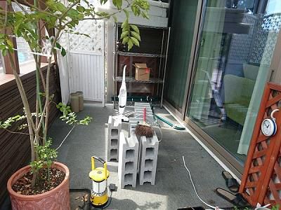 《バラ庭》ガーデンワーク～・・ガーデンルーム整理、植物たちは外へ！！