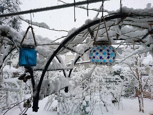 《バラ庭》つれづれ～・・きょうは、雪特集！！