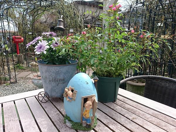 《バラ庭》つれづれ～・・きょうの仕事は・・・