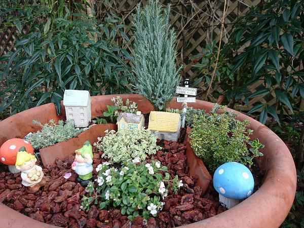 《バラ庭》ばーばの庭遊び・・セダムを植えてみました！！
