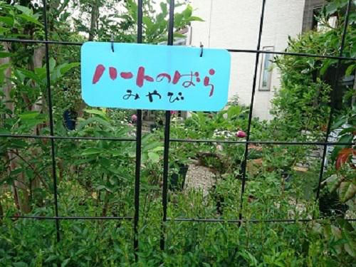 《バラ庭》ガーデンワーク～ゆる文字にはまっています・・！!