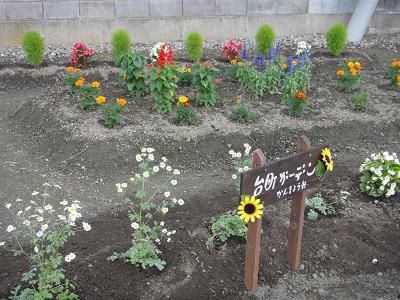 《バラ庭》庭主の日々～・・地区花壇へ。。。