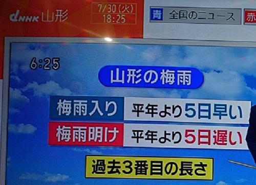 《バラ庭》つれづれ・・きょう、山形梅雨明け！！