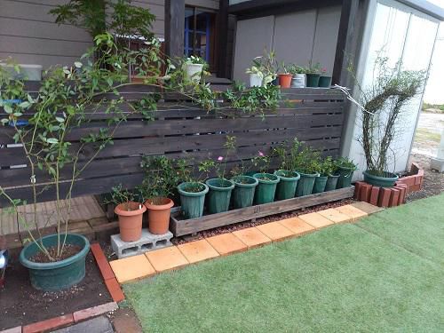 《バラ庭》ガーデンNOW～・・新設の小屋の周辺を整備。。。