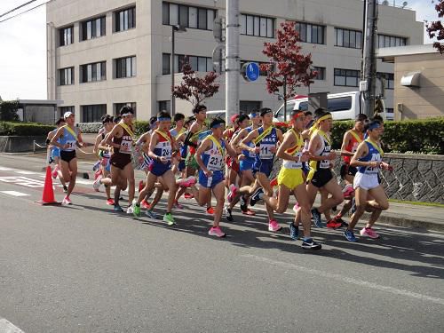 《バラ庭》庭主の日々～・・きょうは東北高等学校駅伝競走大会！！