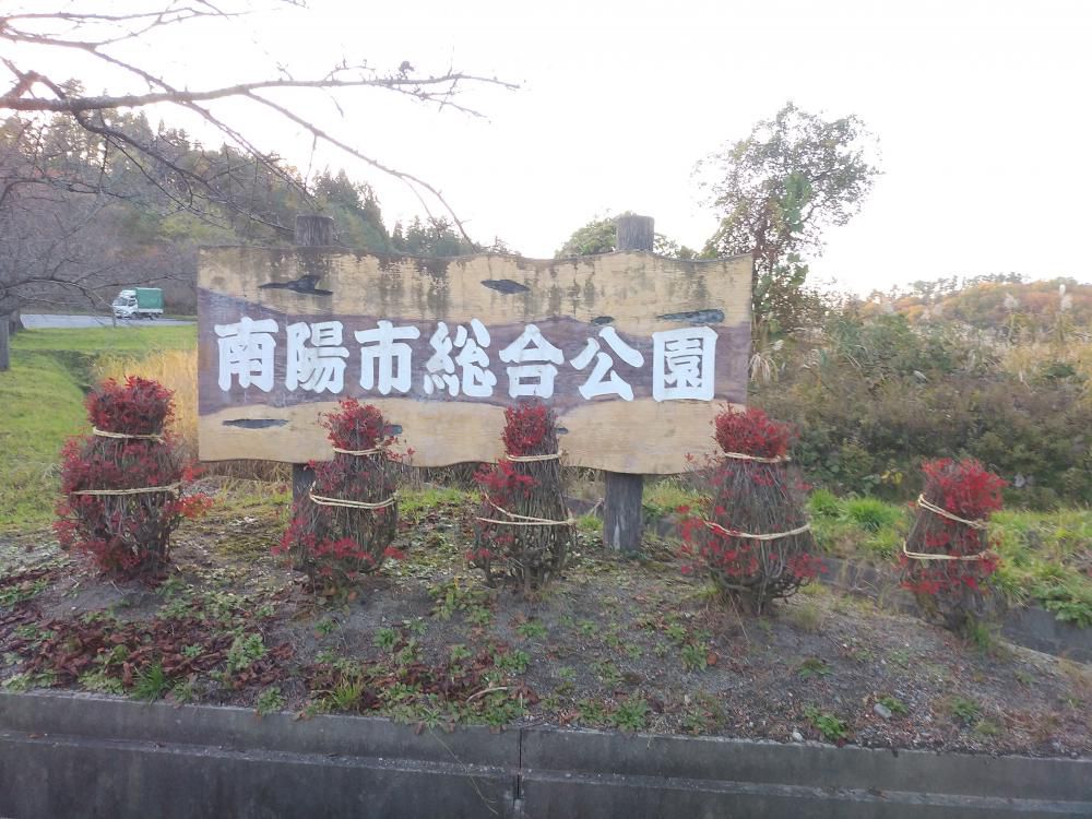 《バラ庭》黒柴サスケ～・・きのうの午後、南陽市総合公園へ。。。