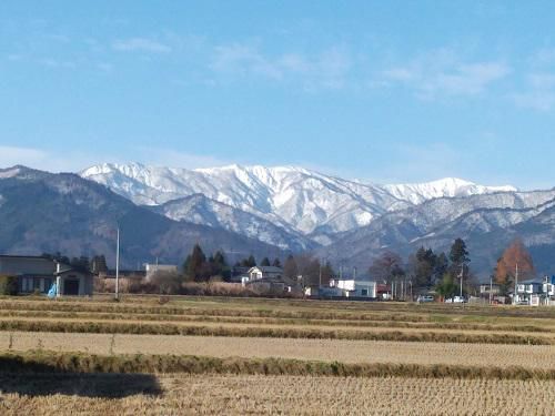 《バラ庭》つれづれ～・・今朝は寒かった！！