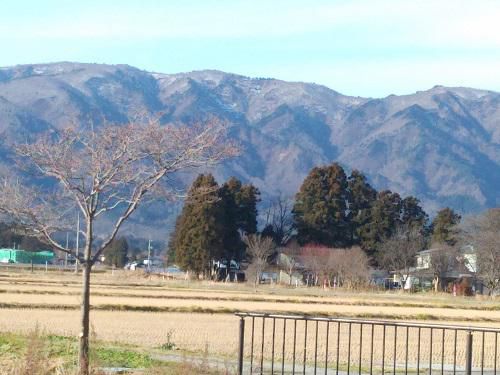 《バラ庭》つれづれ～・・きょうはいい天気なので散歩に。。。