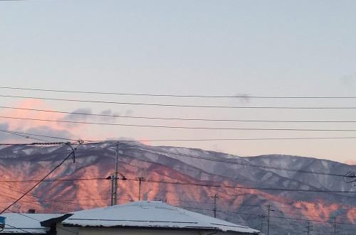 《バラ庭》つれづれ～・・年末特別編！！