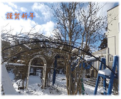 《バラ庭》つれづれ～・・明けましておめでとうございます!(^^)!