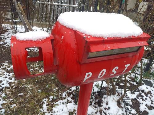 《バラ庭》つれづれ～・・今朝は、雪・・・！