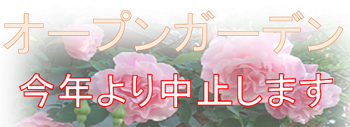 《バラ庭》オープンガーデン～・・今年より中止することにします。