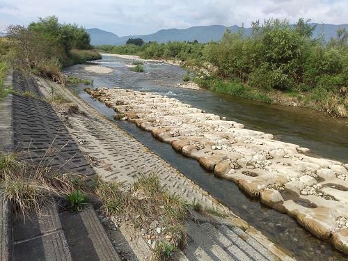 《バラ庭》つれづれ～・・野川河川敷上流へ！