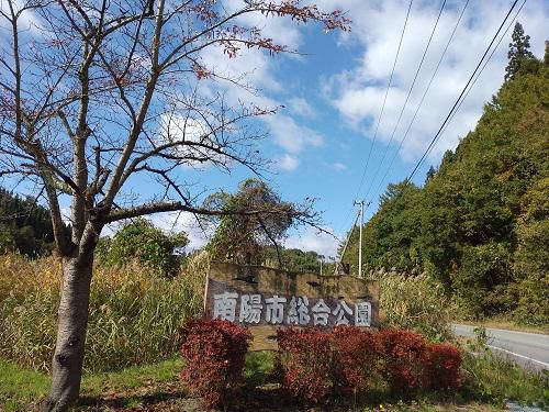 《バラ庭》つれづれ～・・きょうは好天気！南陽市総合公園へ。。。