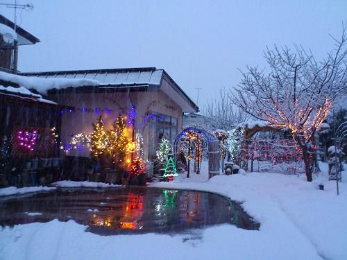 《バラ庭》つれづれ～・・クリスマスもう少しですが～まだまだ写真が！