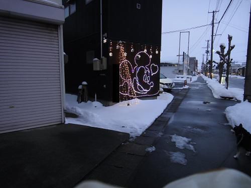 《バラ庭》つれづれ～・・明日はクリスマスイヴ！