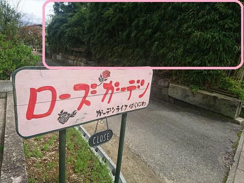《バラ庭》つれづれ～・・我が家の入り口竹林も伐採！