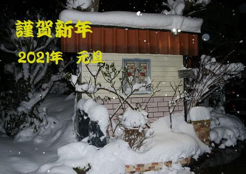 《バラ庭》つれづれ～・・明けましておめでとうございます!(^^)!